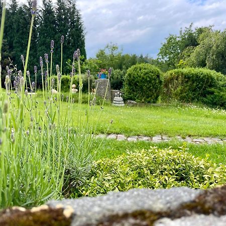 Apartman U Mluvicich Kamenu Stare Krecany Buitenkant foto